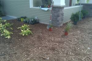 Landscaping 2